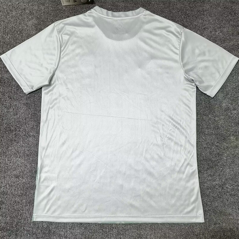 24-25 Algeria Light Green Special Edition Fans Training shirts