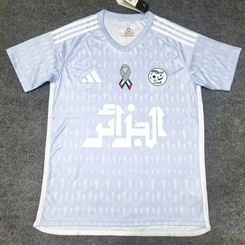 24-25 Algeria Grey Special Edition Fans Training shirts