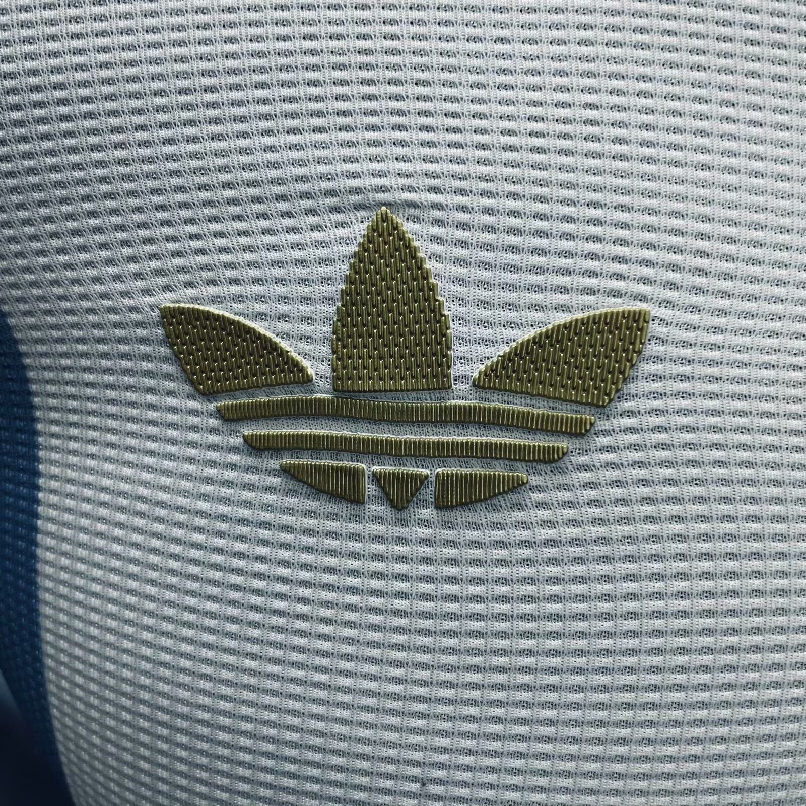 24-25 Argentina 50th Anniversary Long Sleeve Player Version Soccer Jersey (长袖球员)