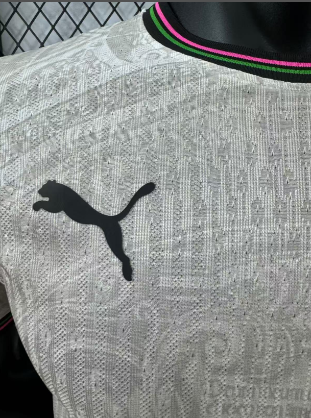 25-26 Portugal Khaki Special Edition Player Version Soccer Jersey