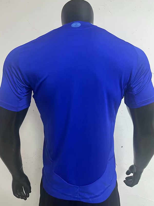 24-25 Argentina Away Player Version Soccer Jersey (V领)