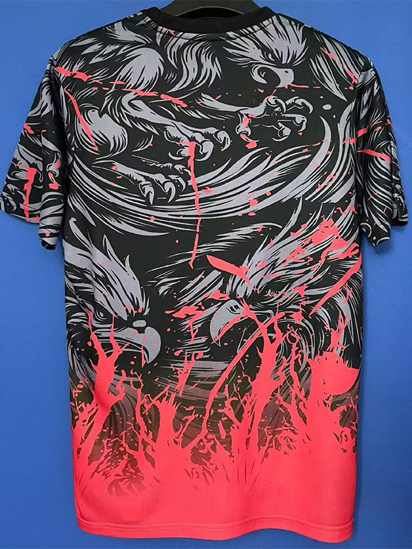 25-26 Japan Special Edition Fans Soccer Jersey (红凤凰)