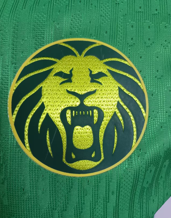 25-26 Cameroon Green Player Version Soccer Jersey