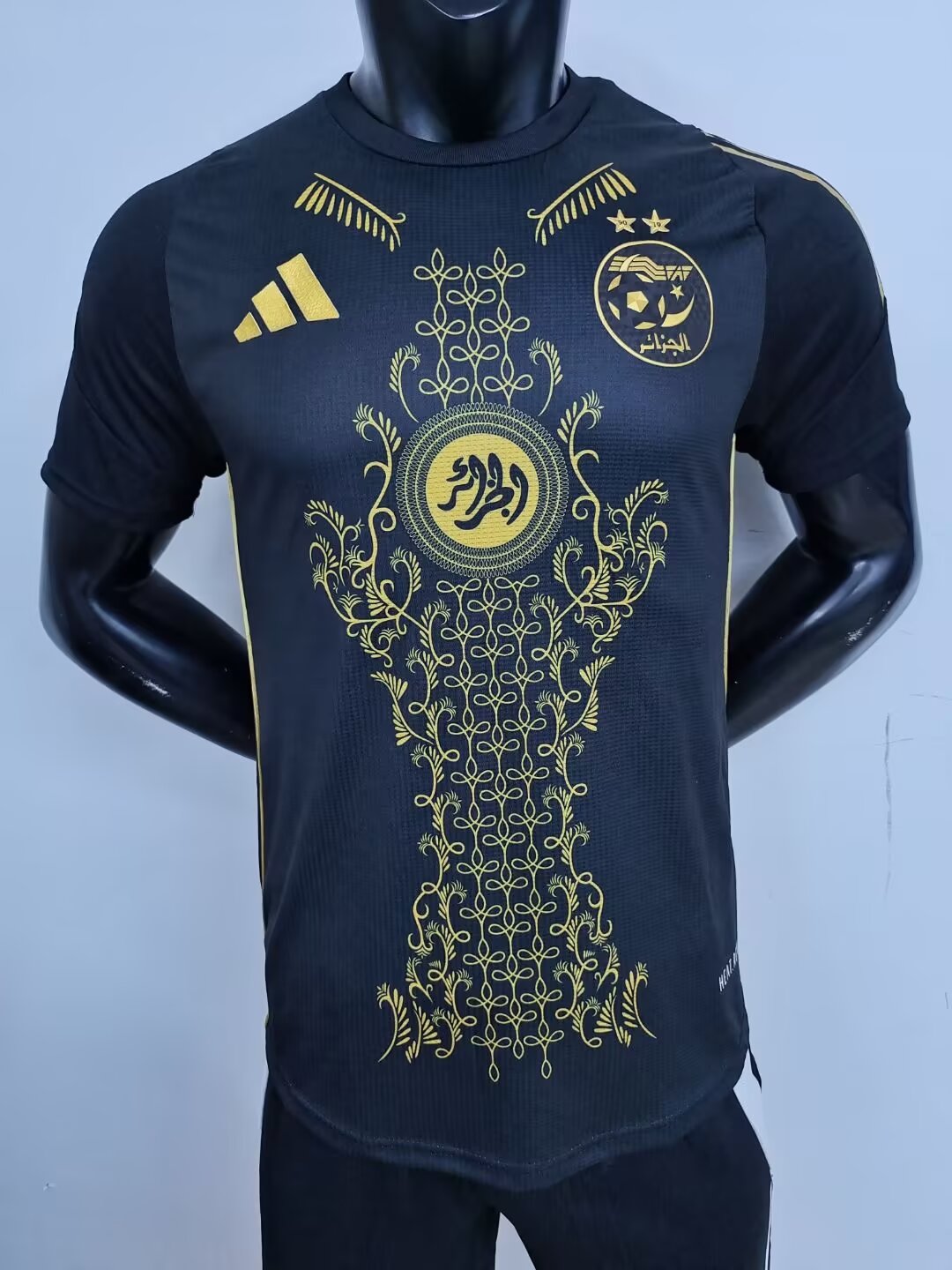 24-25 Algeria Black Special Edition Player Version Training shirts #35