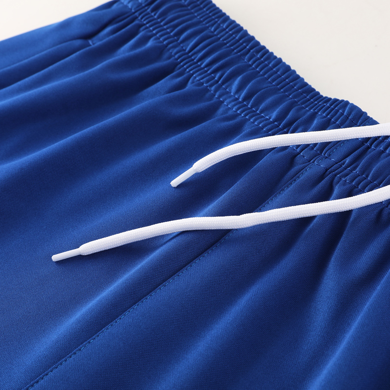 24-25 Netherlands Fancy blue Training Short Suit