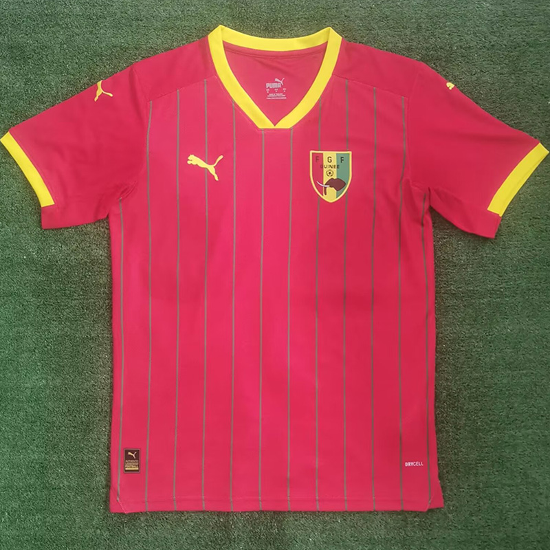 2024 Guinea Home Fans Soccer Jersey