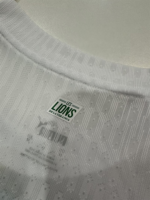 24-25 Senegal Home Player Version Soccer Jersey