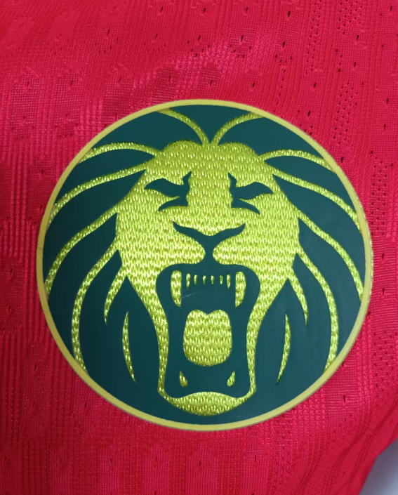 25-26 Cameroon Red Player Version Soccer Jersey
