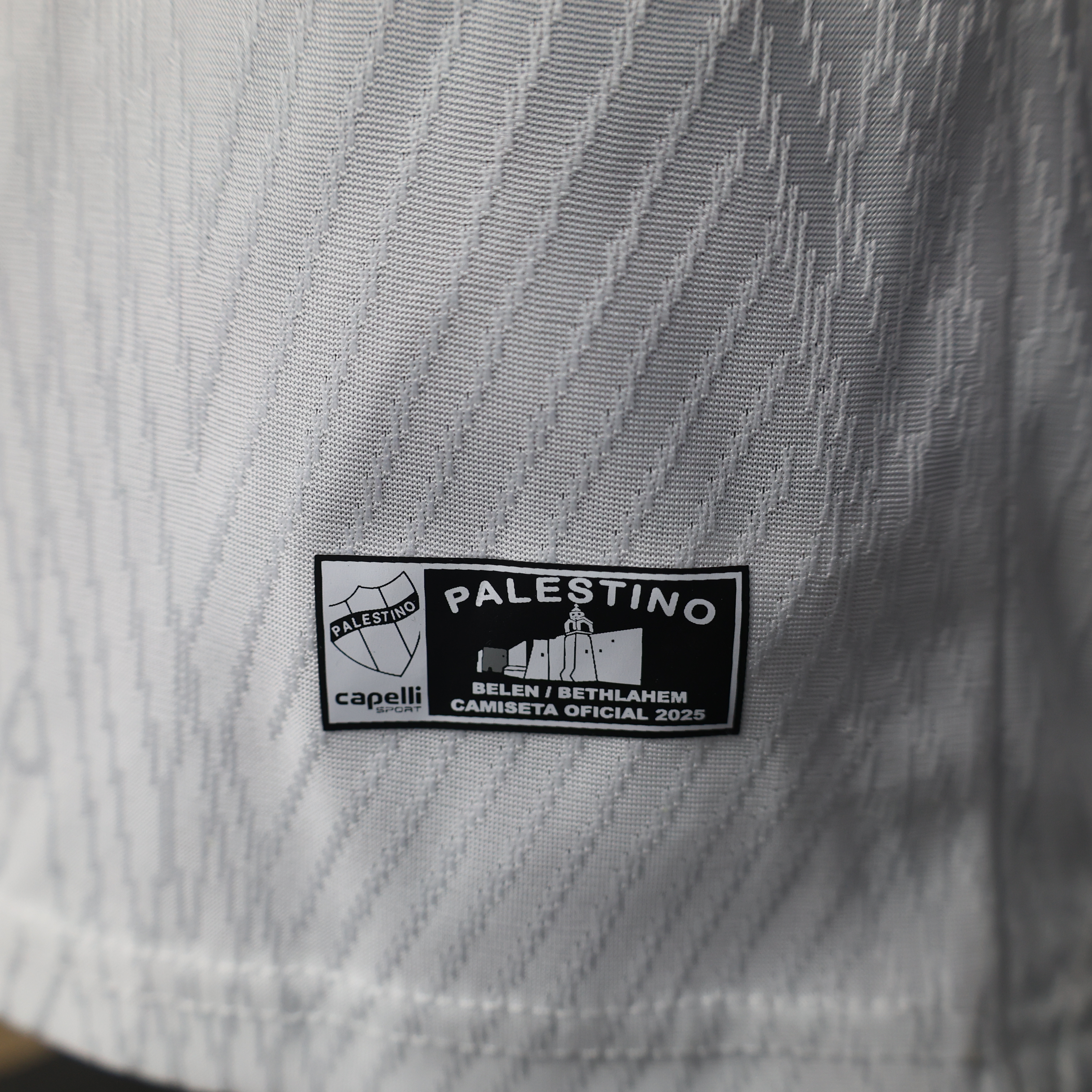 25-26 Deportivo Palestino Home Player Version Soccer Jersey