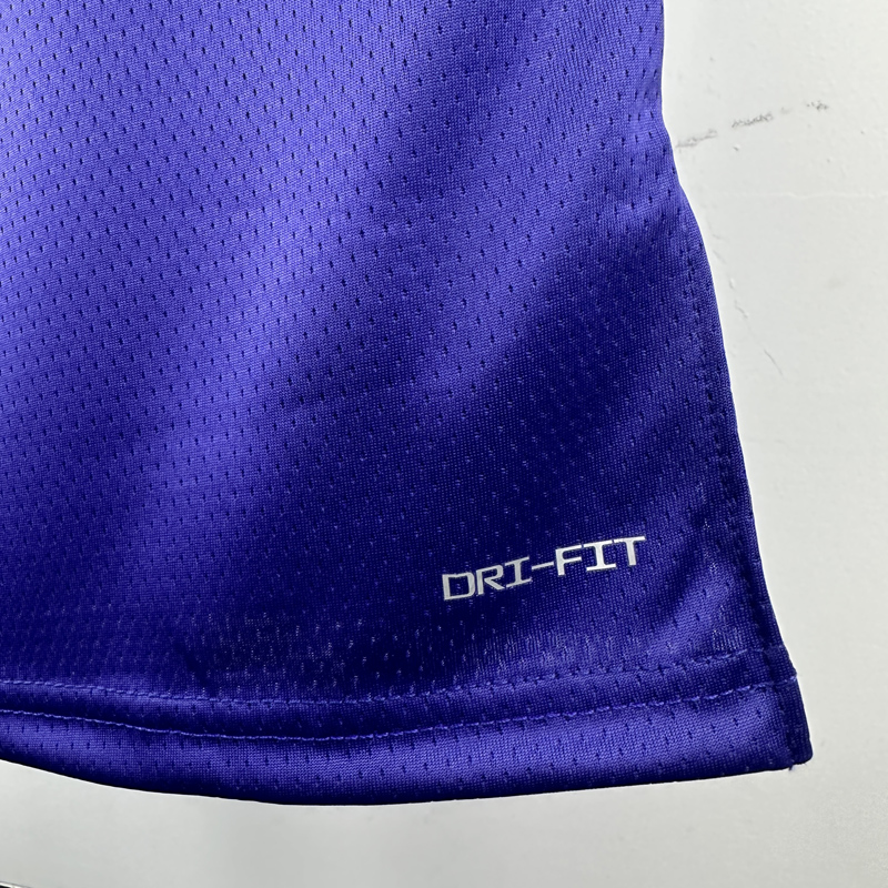 24-25 LAKERS JAMES JR. #9 Royal blue City Edition Top Quality Hot Pressing NBA Jersey