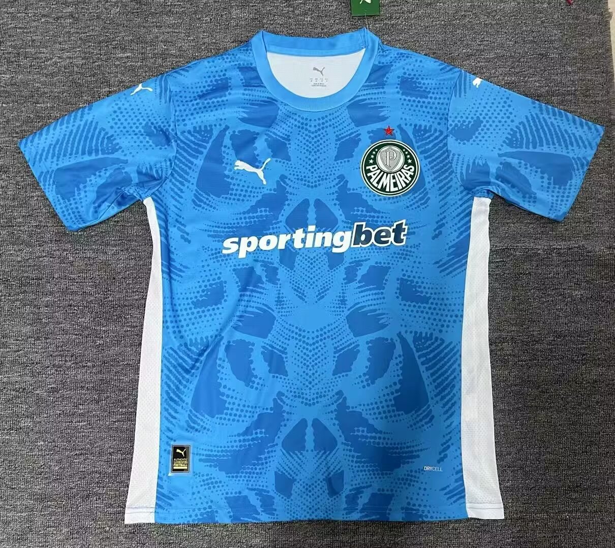25-26 Palmeiras Blue Goalkeeper Soccer Jersey