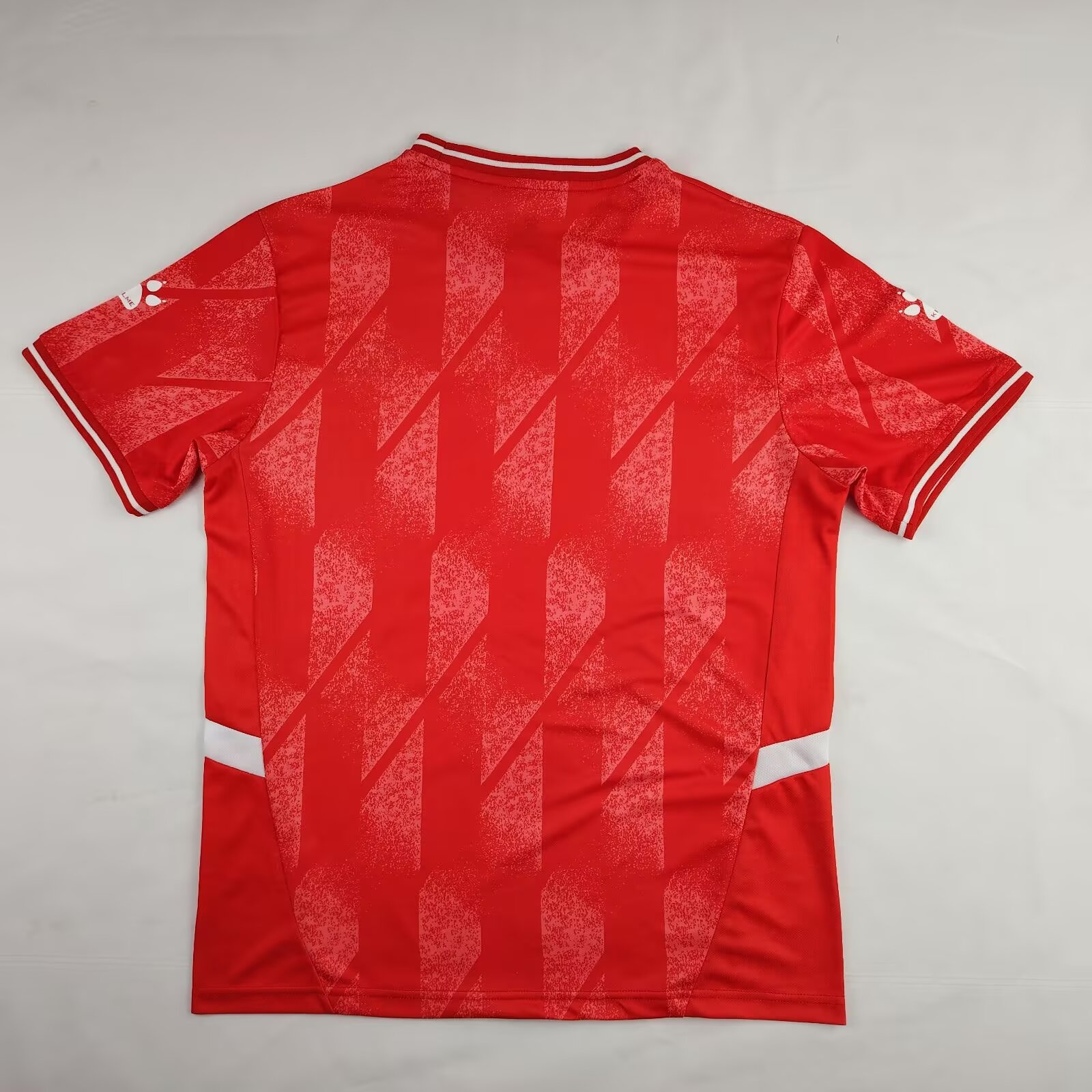 24-25 Palestine Home Fans Soccer Jersey