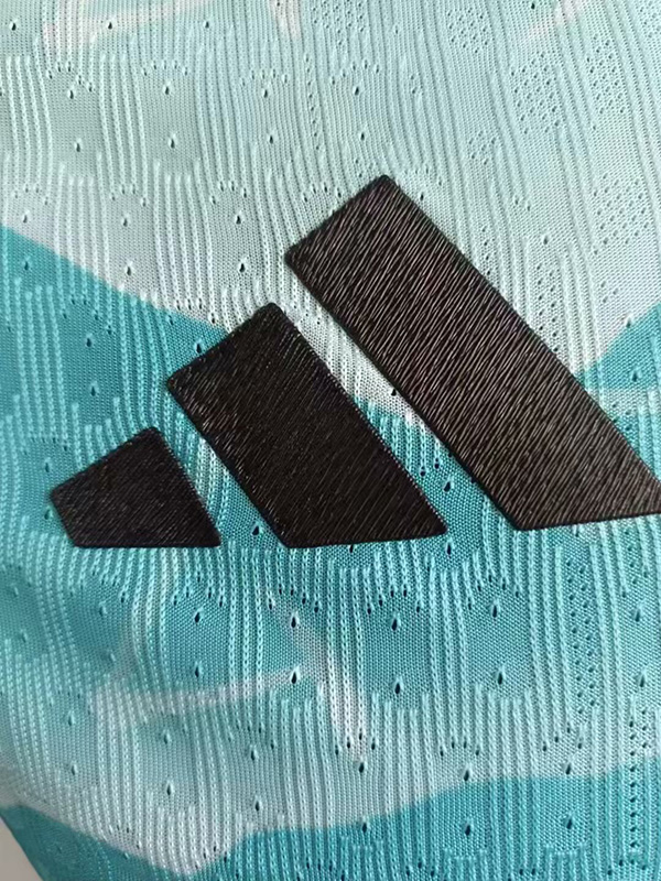 2024 Japan Lake Blue Special Edition Player Version Soccer Jersey  经典款3