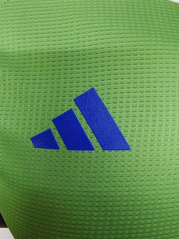 24-25 Algeria Green Special Edition Player Version Training shirts #A30