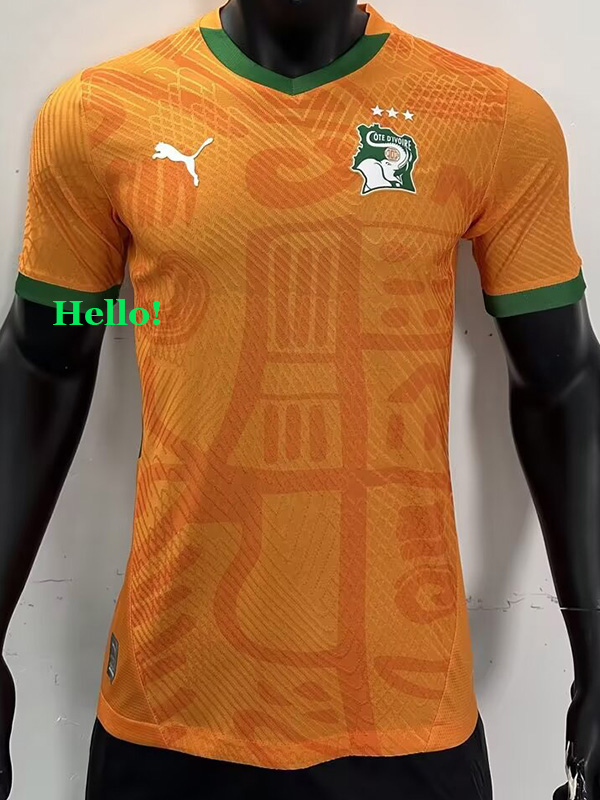 24-25 Ivory Coast Concept Edition Home Player Version Soccer Jersey