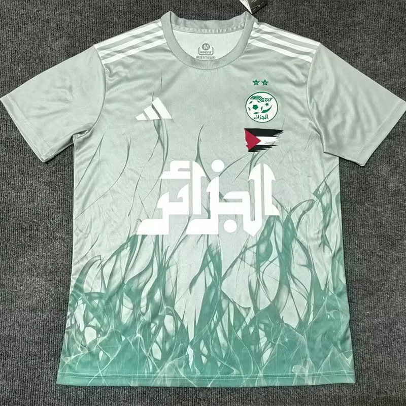 24-25 Algeria Light Green Special Edition Fans Training shirts