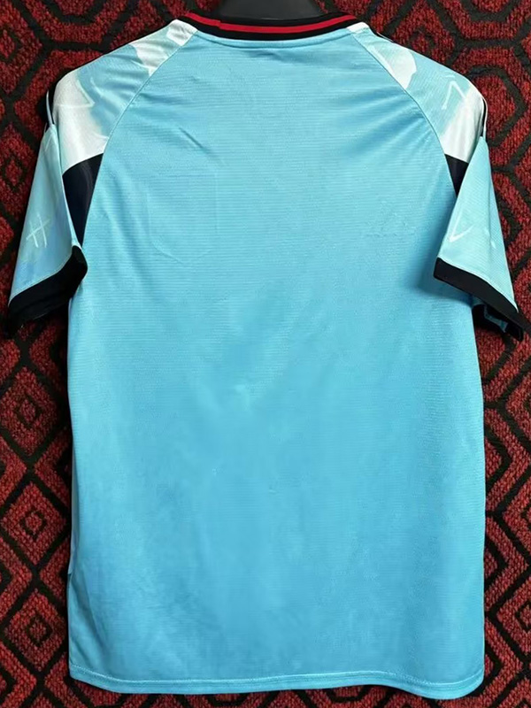 2024 Japan Blue Special Edition Fans Soccer Jersey *山水蓝