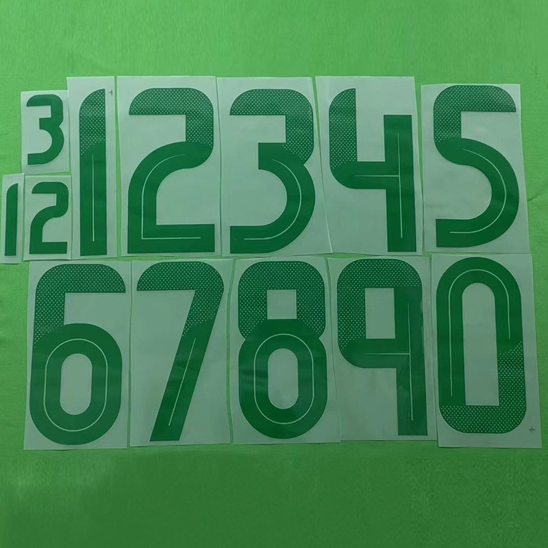 24-25 Algeria Light Green Special Edition Fans Training shirts