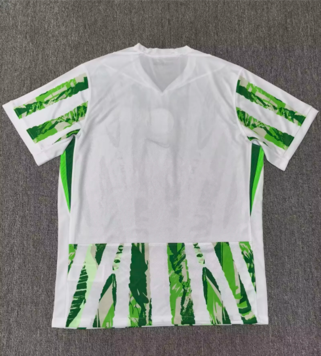 25-26 Nigeria Home Fans Soccer Jersey
