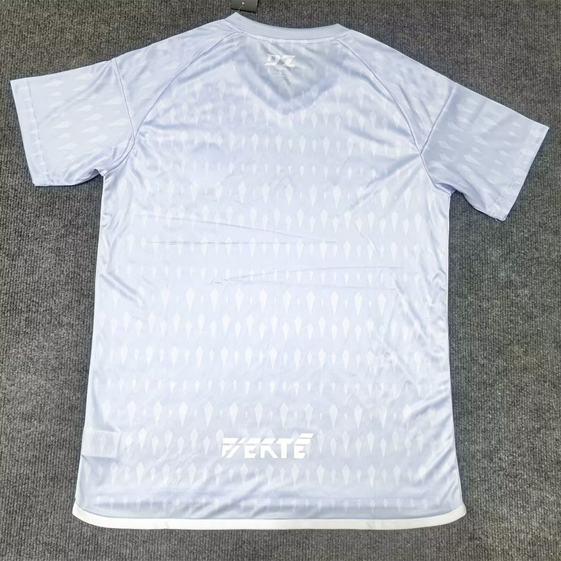 24-25 Algeria Grey Special Edition Fans Training shirts