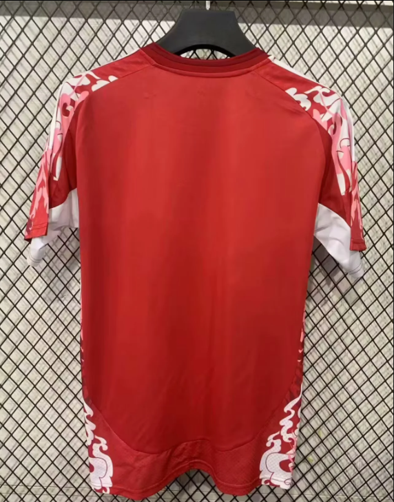 24-25 Man Utd Red Special Edition Fans Training shirts