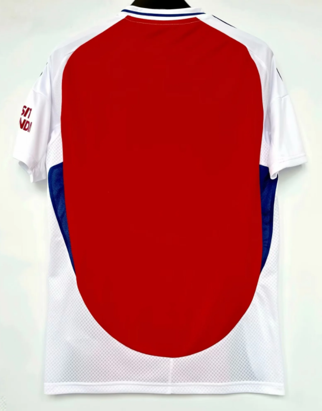 24-25 ARS Home 1:1 Fans Soccer Jersey