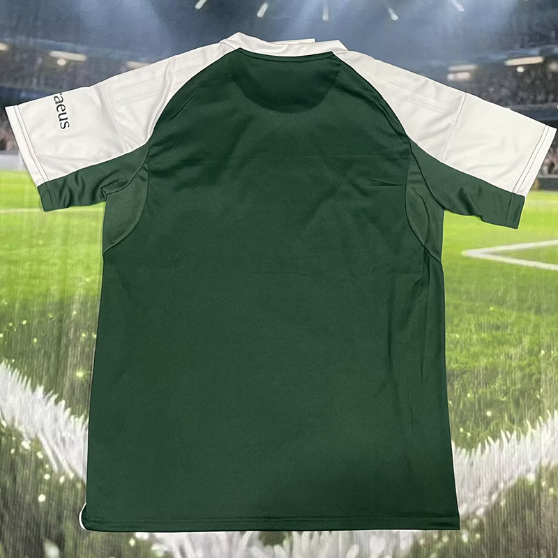 25-26 Panathinaikos Green Fans Soccer Jersey