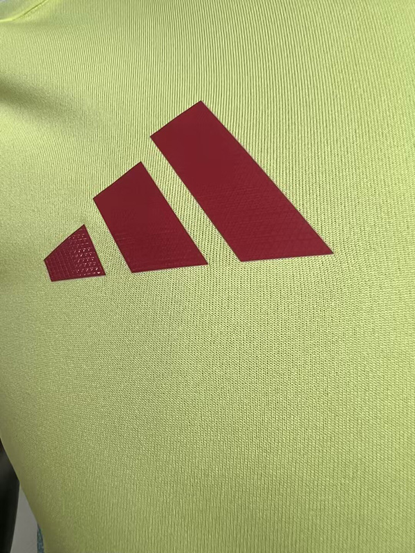 24-25 Spain Away Player Version Soccer Jersey