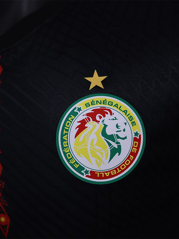 24-25 Senegal Black Special Edition Player Version Training shirts *彩带