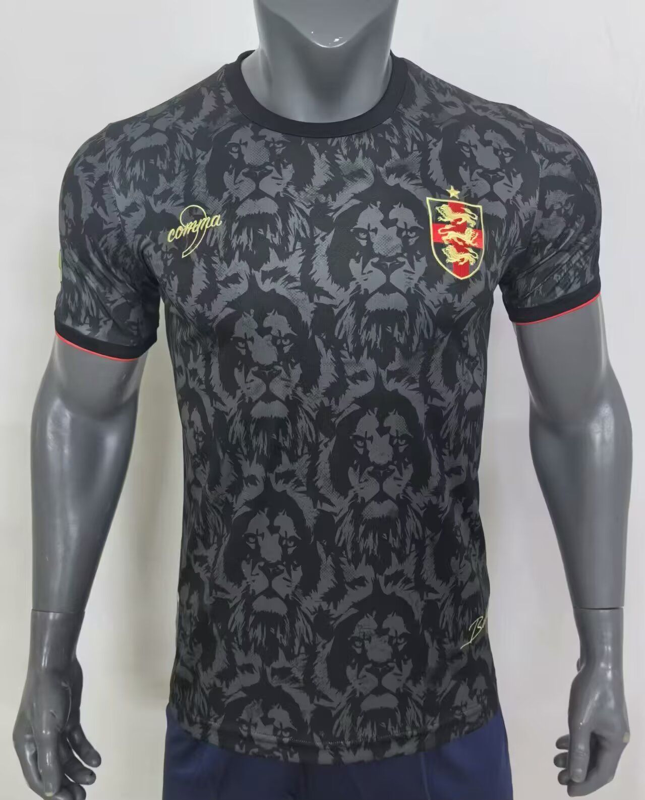 24-25 England Black Grey Special Edition Fans Soccer Jersey