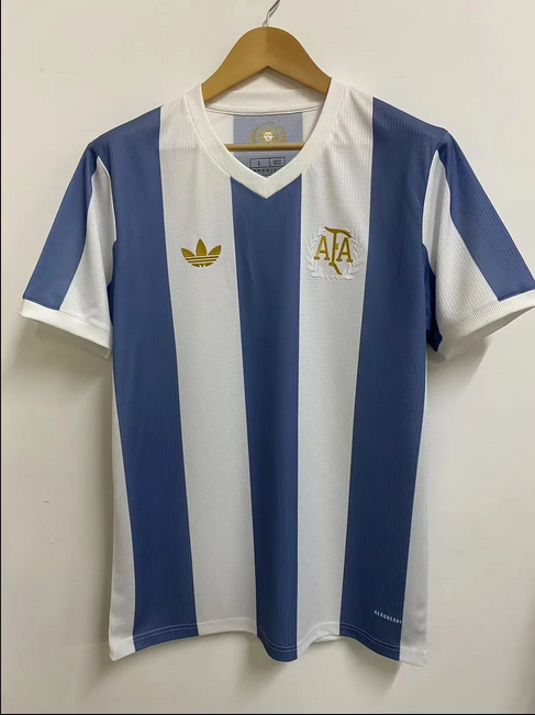2024 Argentina Special Edition Fans Soccer Jersey