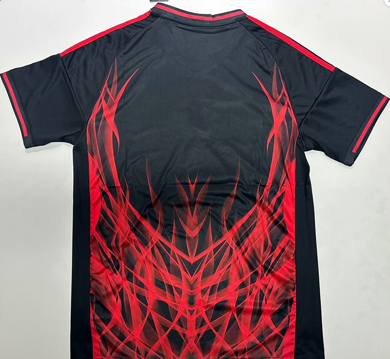 25-26 Benfica Special Edition Black Red Training shirts