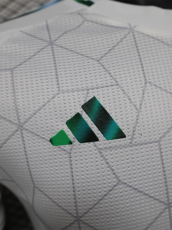 24-25 Algeria White Special Edition Player Version Training shirts