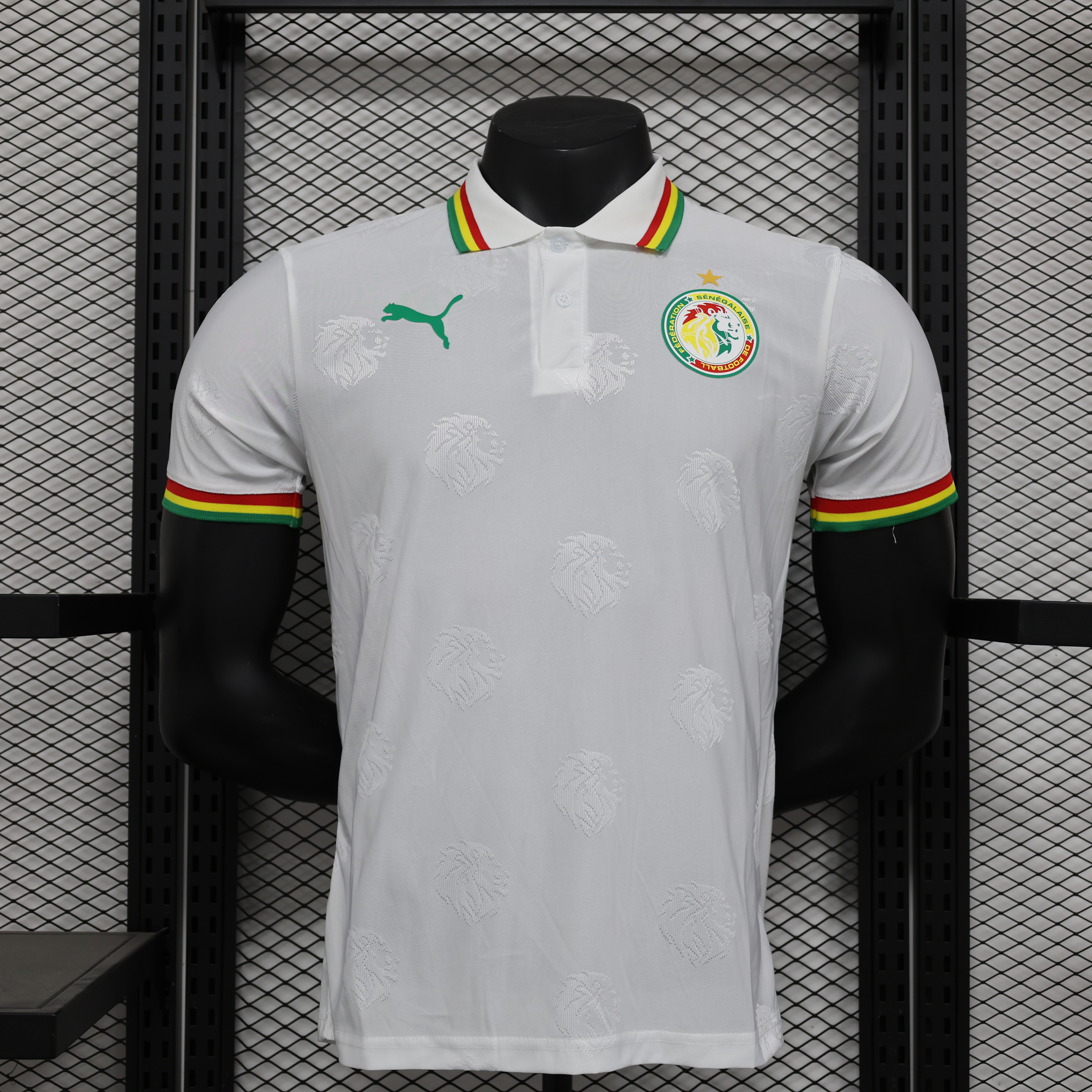 24-25 Senegal White Special Edition Player Version Training shirts
