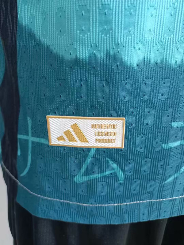 2024 Japan Lake Blue Special Edition Player Version Soccer Jersey  经典款3