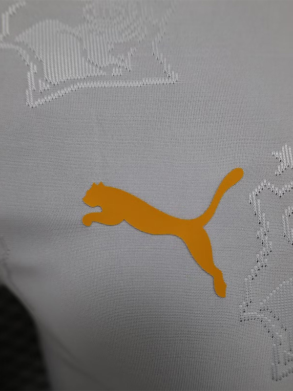 24-25 Ivory Coast White Special Edition Player Version Soccer Jersey