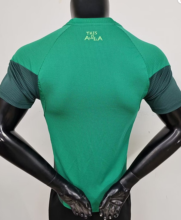 25-26 Algeria Green Player Version Training shirts #A38
