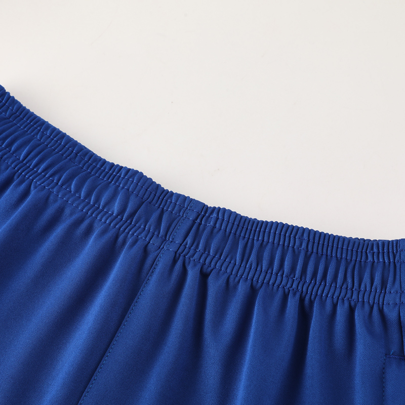 24-25 Netherlands Fancy blue Training Short Suit