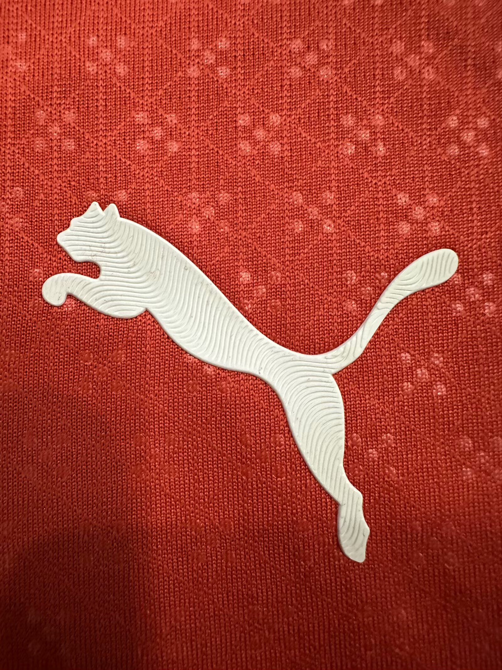 2025 Portugal Home Player Version Soccer Jersey