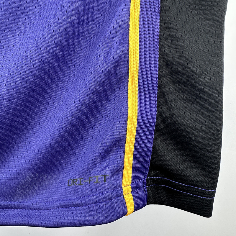 22-23 LAKERS JAMES JR. #9 Purple Top Quality Hot Pressing NBA Jersey (Trapeze Edition) 飞人版