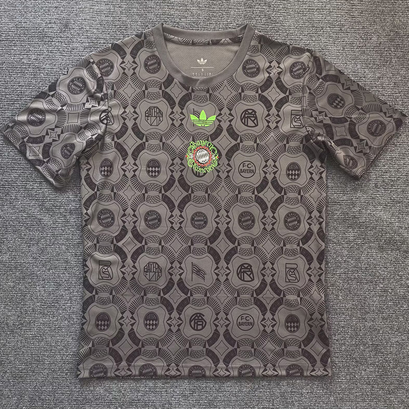 25-26 Bayern Grey Special Edition Training shirts