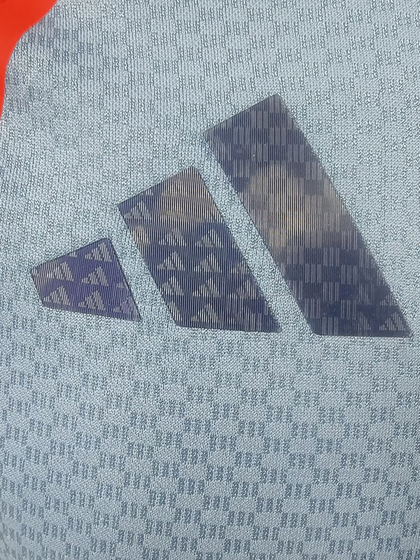 25-26 Japan Grey Blue Player Version Soccer Jersey