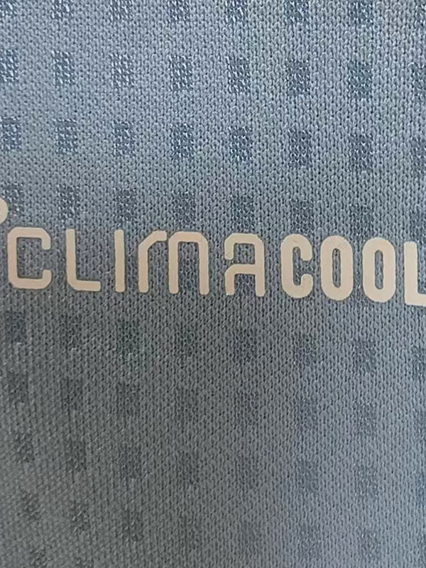 25-26 Japan Grey Blue Player Version Soccer Jersey