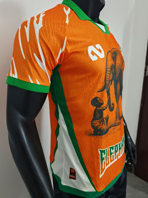 25-26 Ivory Coast Orange Special Edition Player Version Soccer Jersey