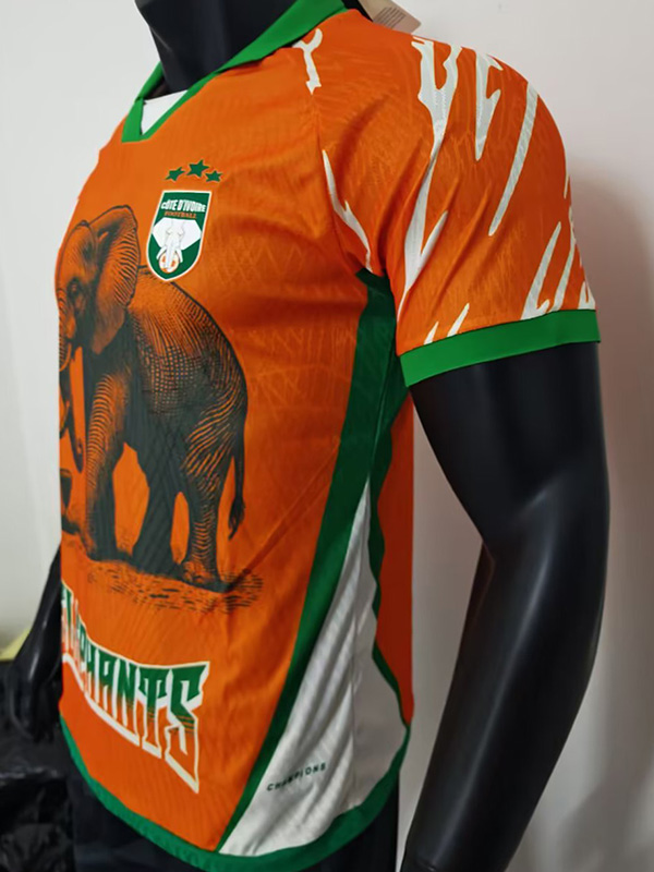 25-26 Ivory Coast Orange Special Edition Player Version Soccer Jersey