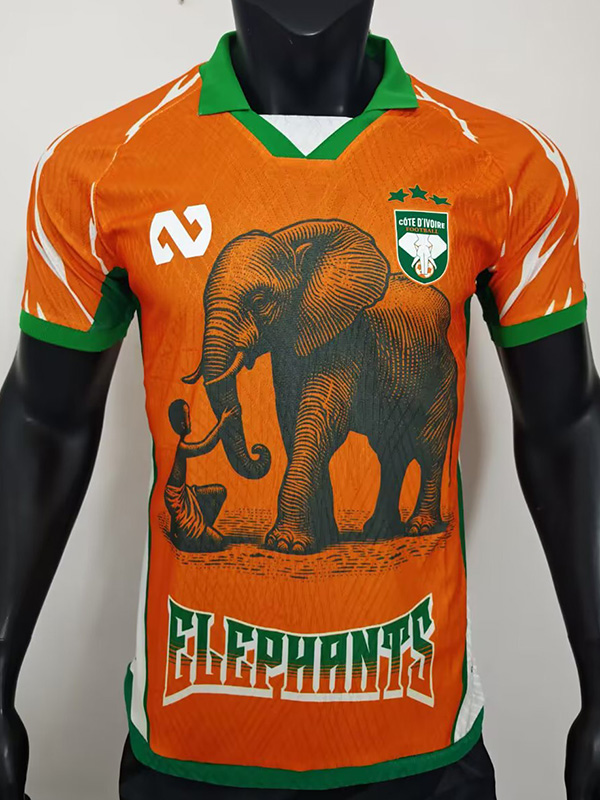 25-26 Ivory Coast Orange Special Edition Player Version Soccer Jersey