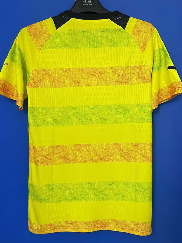 24-25 Guinea Yellow Fans Training shirts