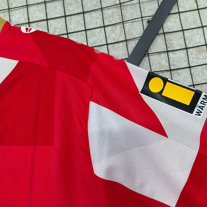 25-26 Mainz 05 Red Special Edition Fans Soccer Jersey