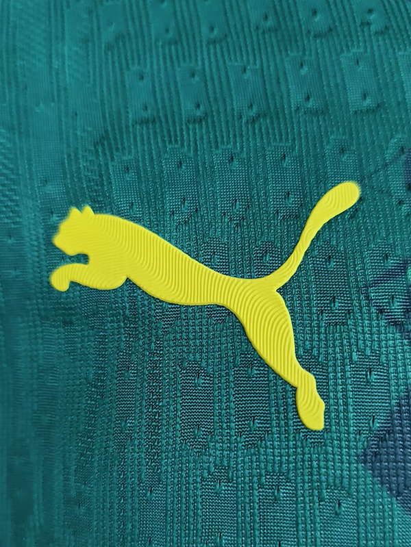 25-26 Senegal Away Player Version Soccer Jersey