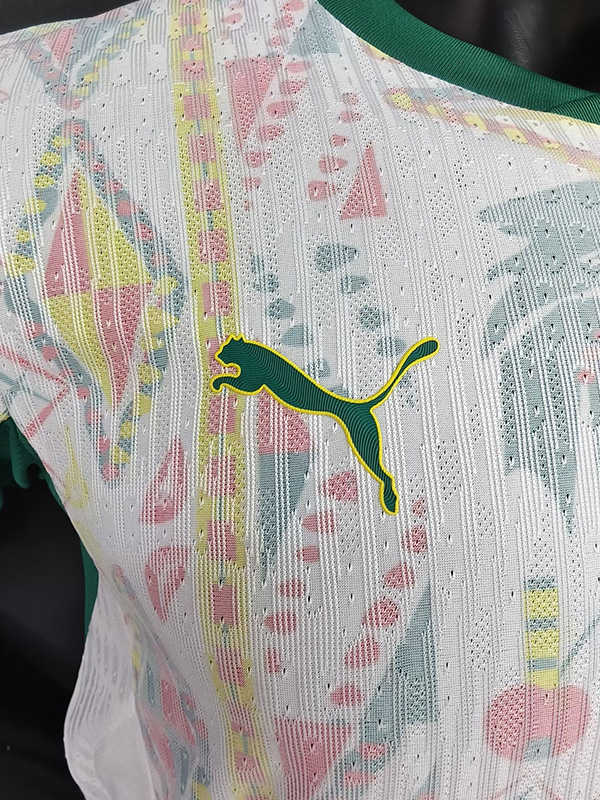 25-26 Senegal Home Player Version Soccer Jersey